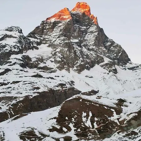 아파트 Grand'ourse 브루일서비니아